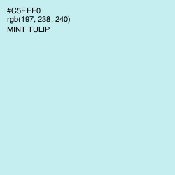 #C5EEF0 - Mint Tulip Color Image